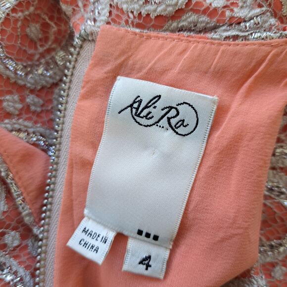 Ali Ro Eyes on You Orange Silver Metallic Lace Party Dress Size 4 Cocktail - Picture 7 of 9